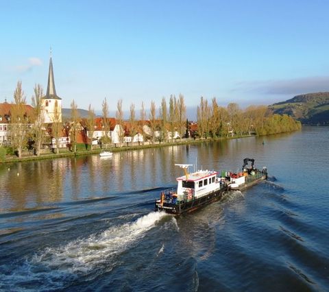 Main-Radweg bei Veitshöchheim nahe Würzburg mit Blick auf den Fluss